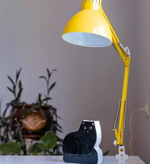 ペンション Fazenda Raiter