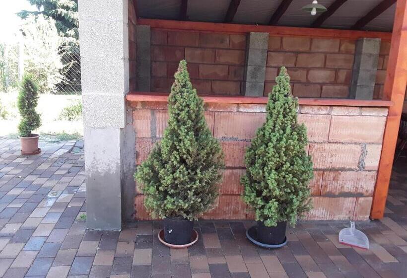 פנסיון Tornácos Vendégház Tápiószentmárton