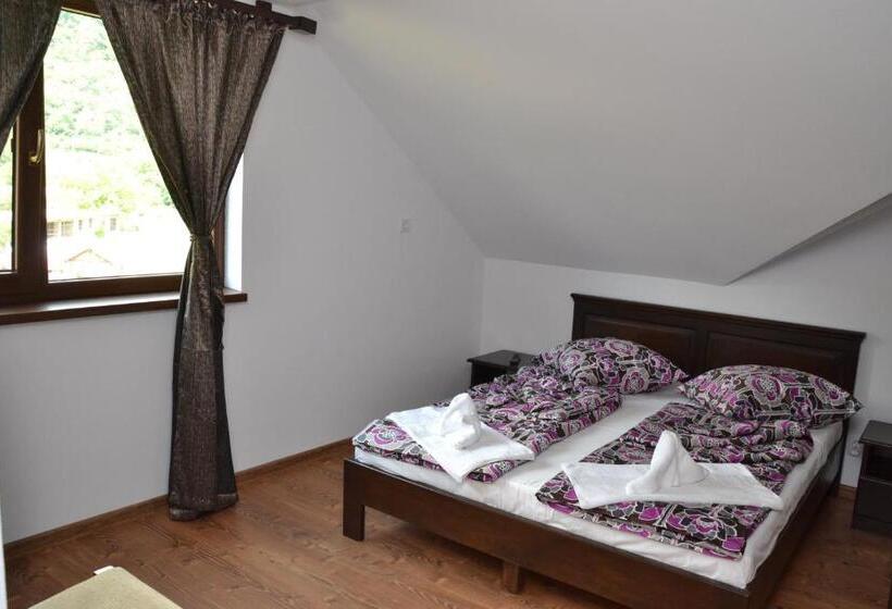 פנסיון Vila Golful Dunării