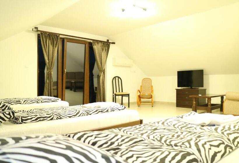 פנסיון Vila Golful Dunării