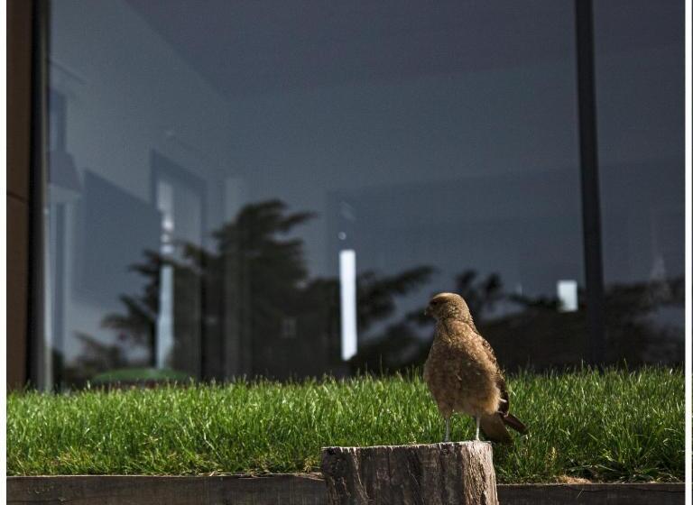 Ventania Golf Resort