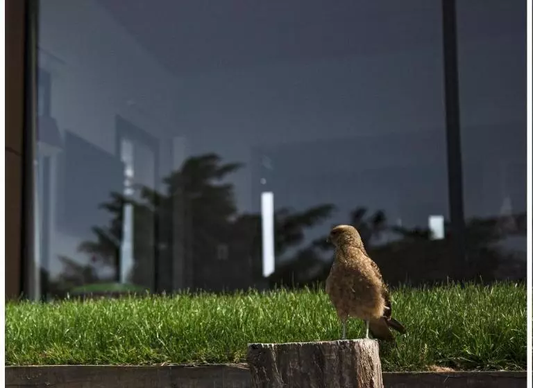 Ventania Golf Resort