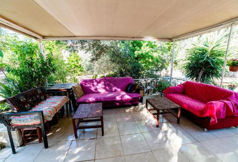 تختخواب و صبحانه Eucalyptus Pension