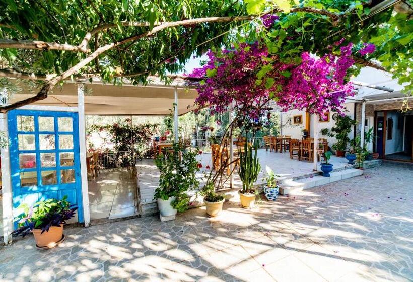 تختخواب و صبحانه Eucalyptus Pension