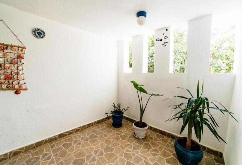 تختخواب و صبحانه Eucalyptus Pension