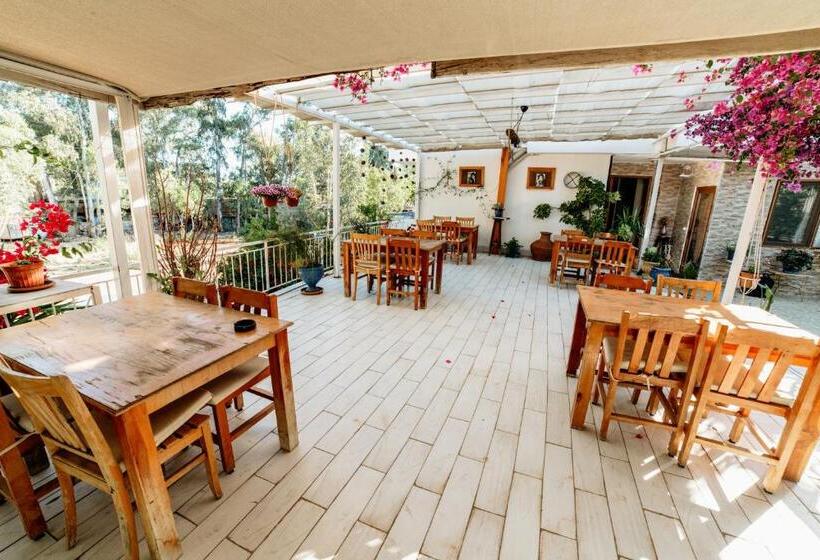 تختخواب و صبحانه Eucalyptus Pension