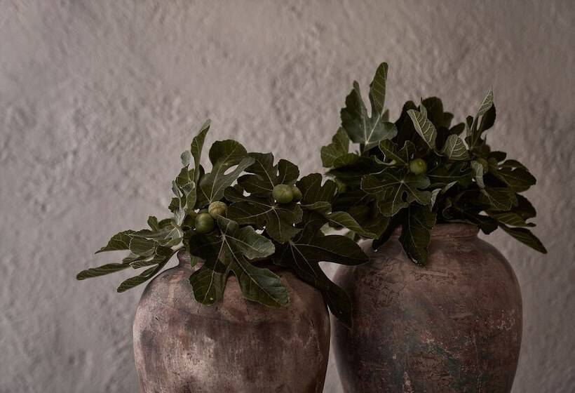 Nomad Mykonos Small Luxury Hotels Of The World