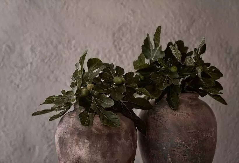 Nomad Mykonos   Small Luxury Hotels Of The World