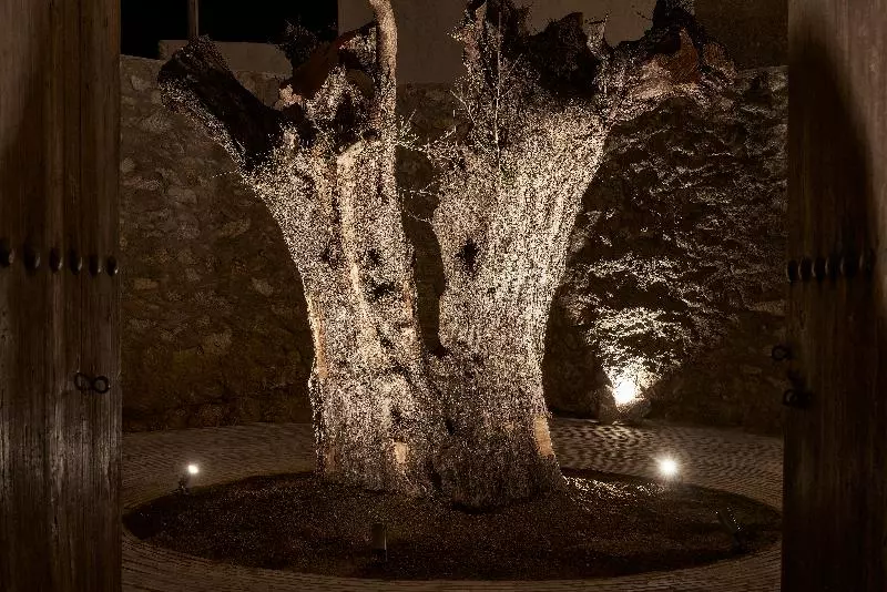 Nomad Mykonos   Small Luxury Hotels Of The World