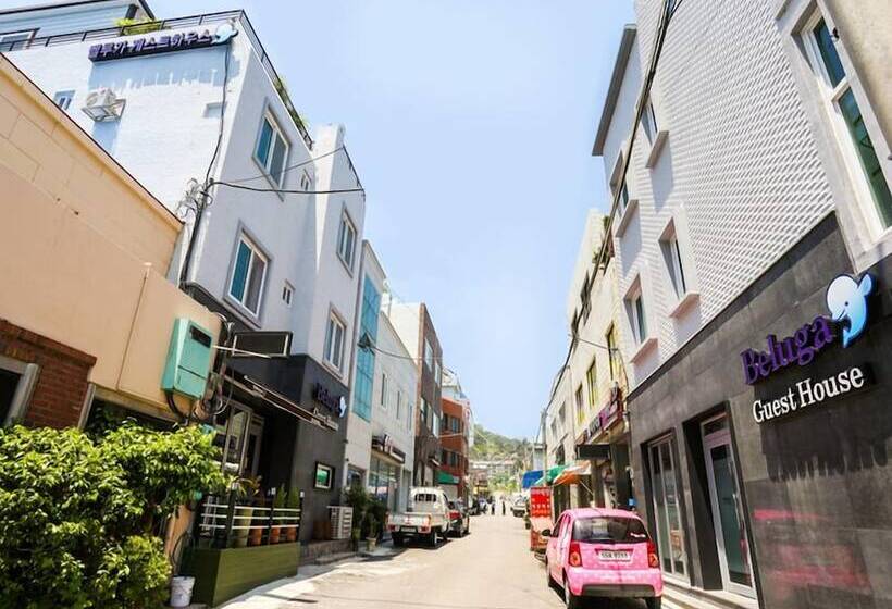 Beluga Guest House   Hostel