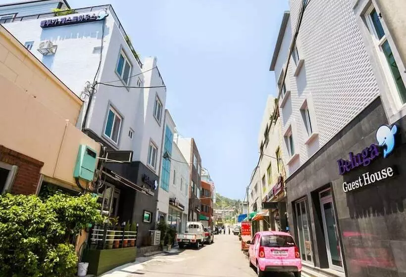 Beluga Guest House   Hostel