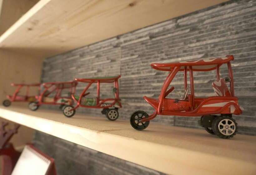 Beluga Guest House   Hostel