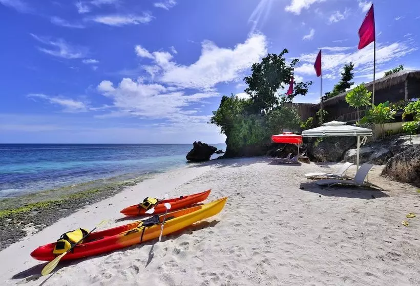 هتل Anda Cove Beach Retreat