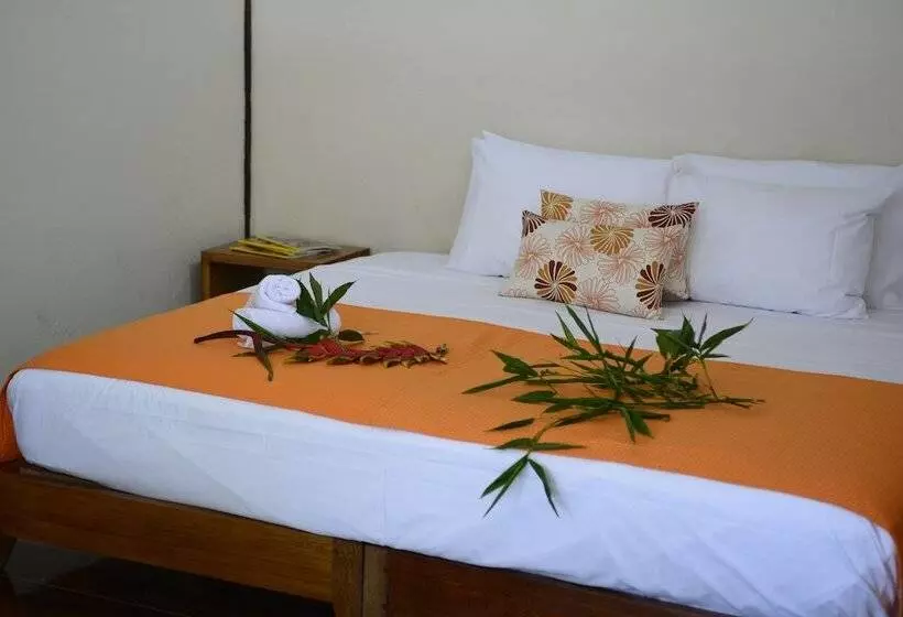 ホテル Itamandi Ecolodge