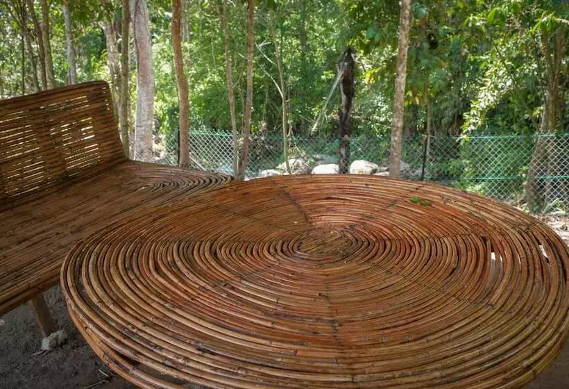 ホテル Rain Forest Inn