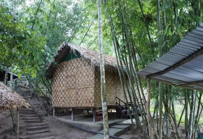 ホテル Rain Forest Inn