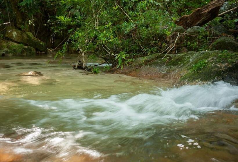 בית מלון כפרי Rain Forest Inn