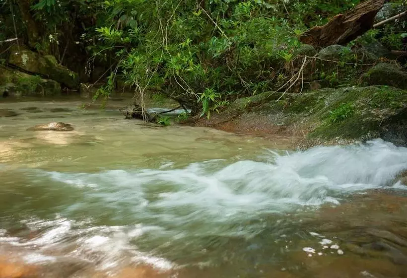 ホテル Rain Forest Inn