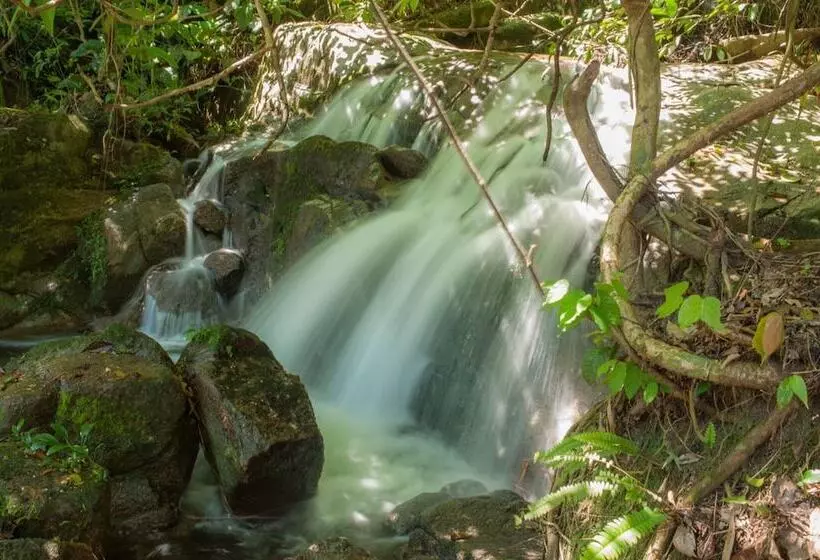 ホテル Rain Forest Inn