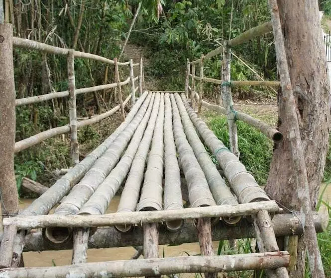 ホテル Rain Forest Inn