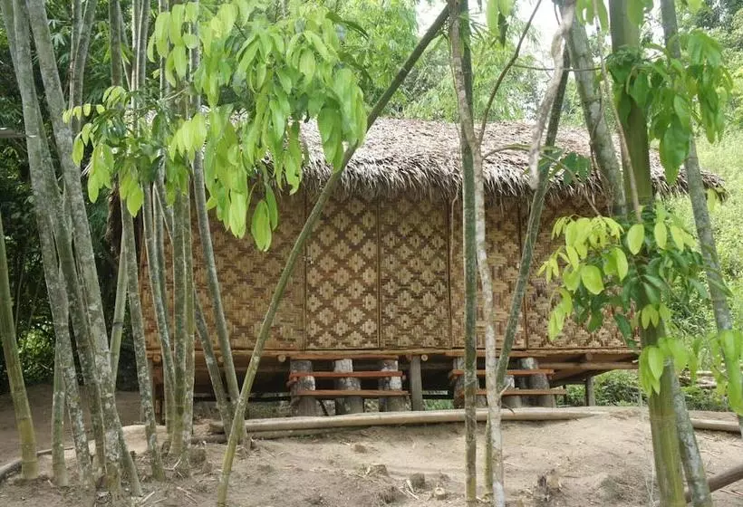 ホテル Rain Forest Inn