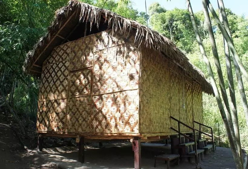 ホテル Rain Forest Inn