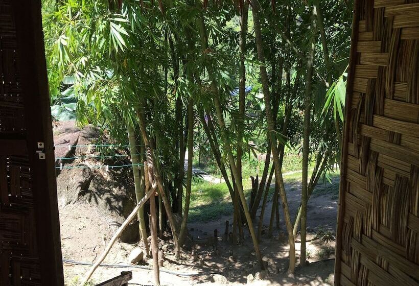 בית מלון כפרי Rain Forest Inn