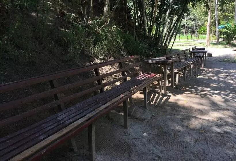 ホテル Rain Forest Inn