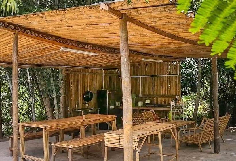 בית מלון כפרי Rain Forest Inn