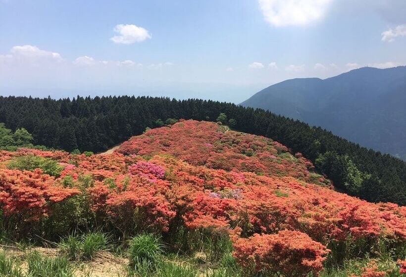 בית מלון כפרי Woo