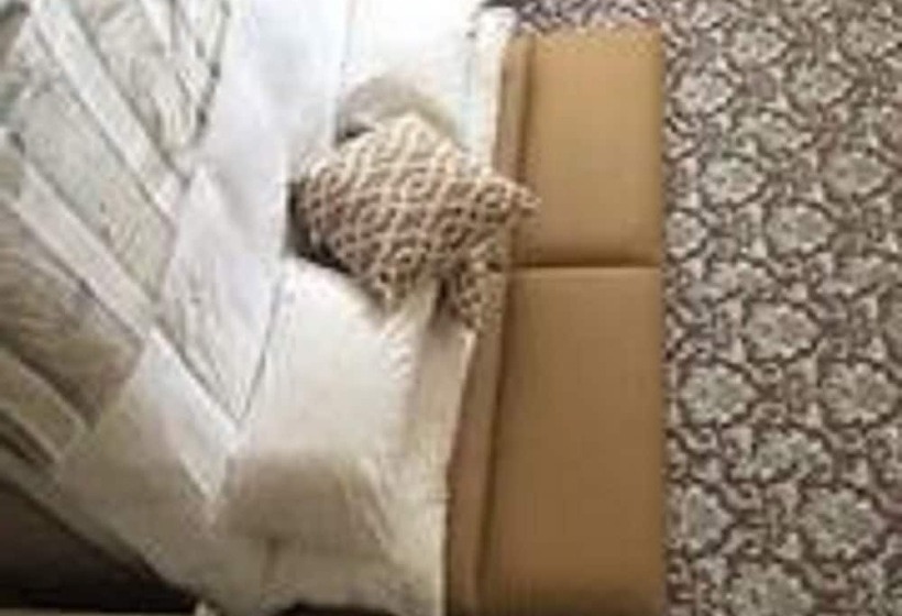 ペンション Llzz Boutique Lodge