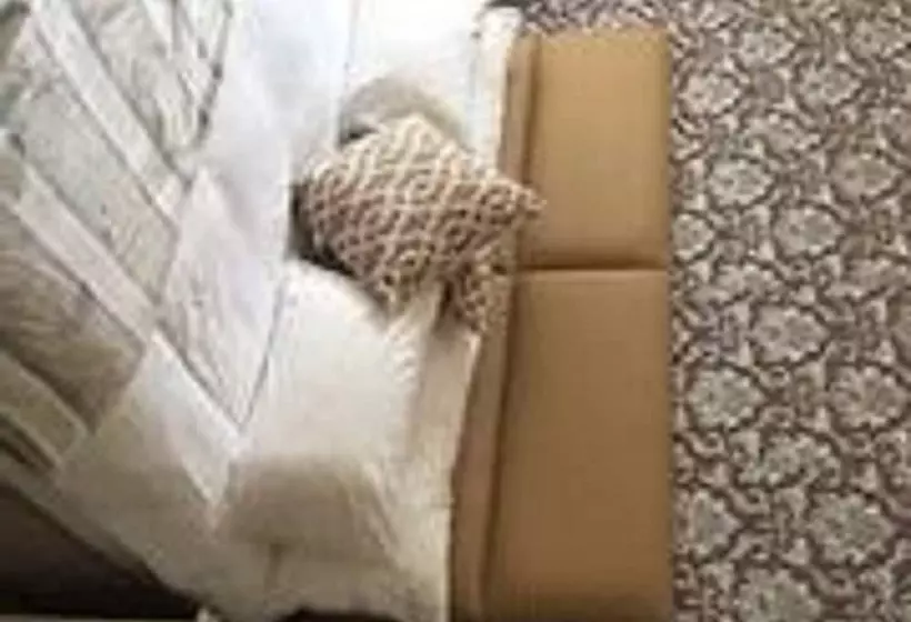 پانسیون Llzz Boutique Lodge