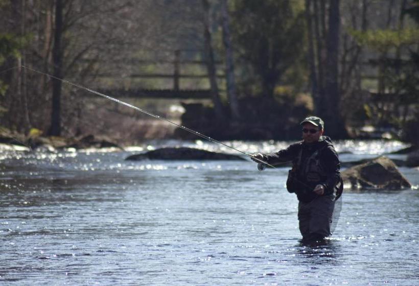 بنسيون Vidinge Gård