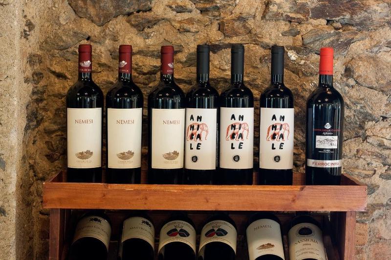 La Rosa Nel Bicchiere