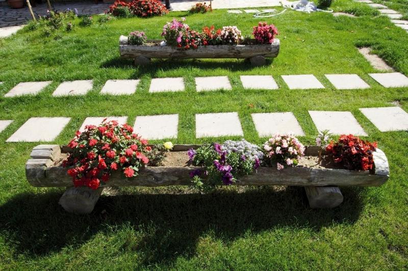 La Rosa Nel Bicchiere