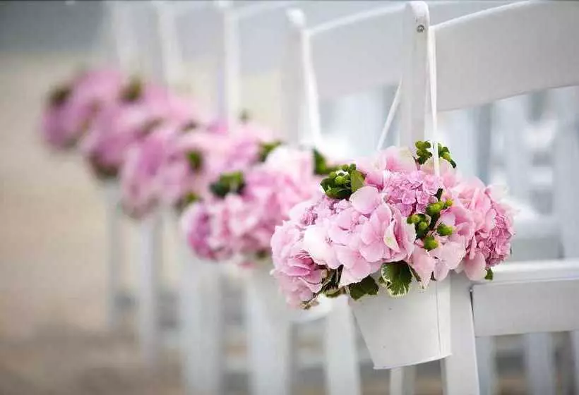 Aamiaismajoitus (B&B) Ollivanders Estate