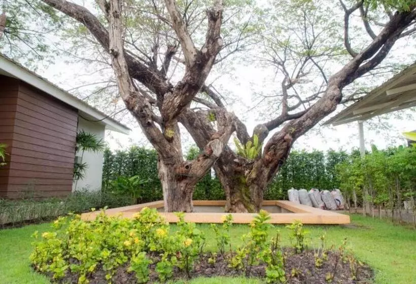 ホテル Baan Kula Mahasarakam