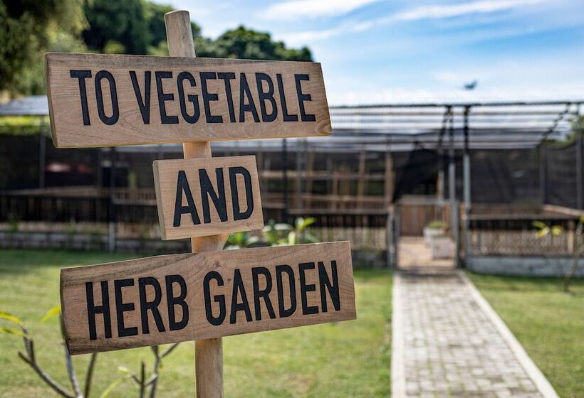 酒店 Kokomo Resort Gili Gede