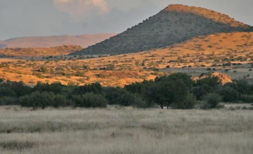 فندق Otterskloof Private Game Reserve