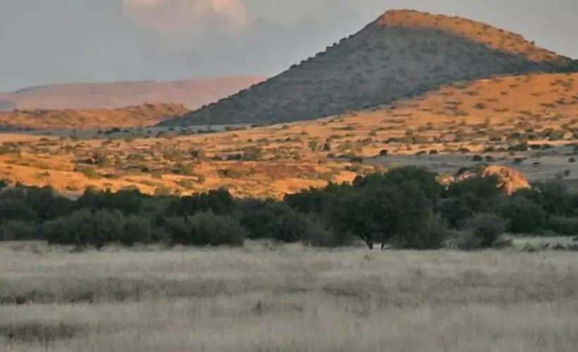 ホテル Otterskloof Private Game Reserve