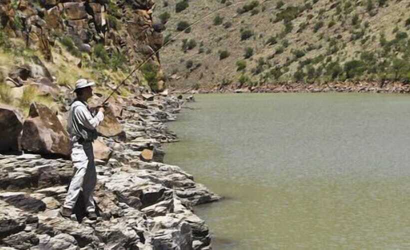 فندق Otterskloof Private Game Reserve