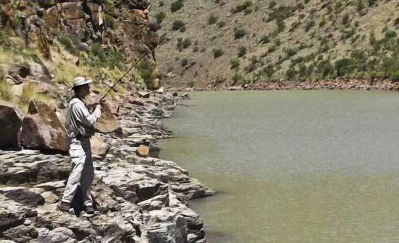 ホテル Otterskloof Private Game Reserve