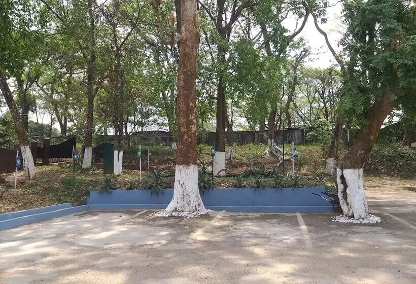 ホテル Polo Orchid Tura