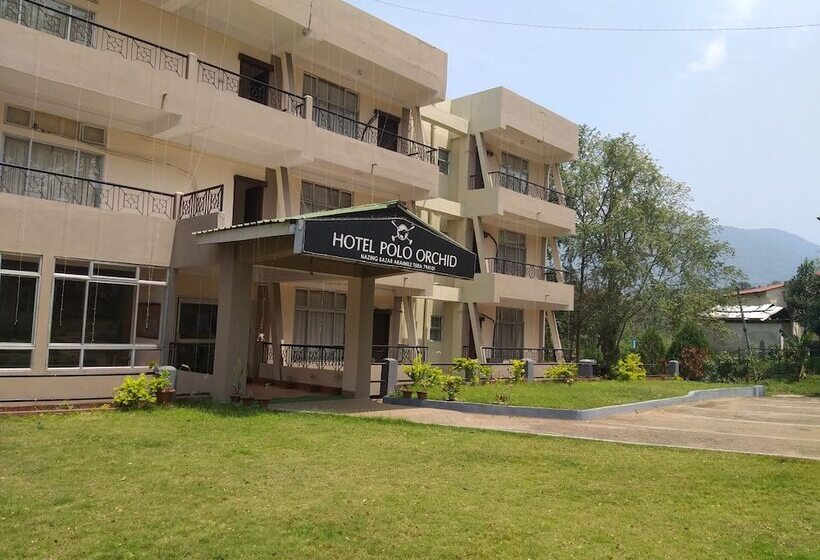 בית מלון כפרי Polo Orchid Tura