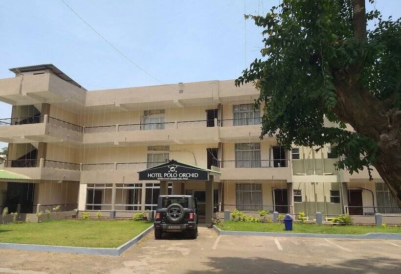 בית מלון כפרי Polo Orchid Tura