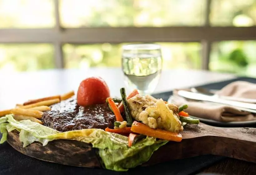 ホテル Polo Orchid Tura