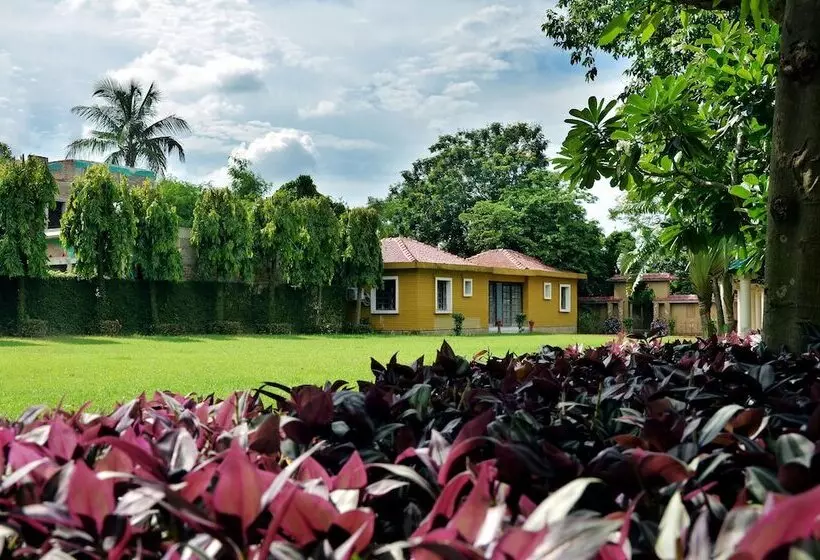 Hotelli Regenta Camellia Resort & Spa