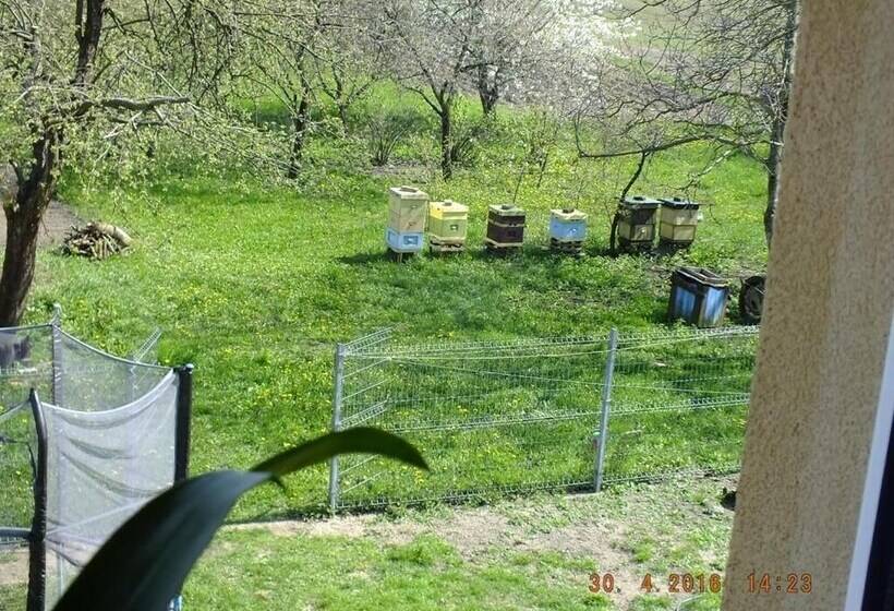 ペンション Agroturystyka Wielkie Leźno