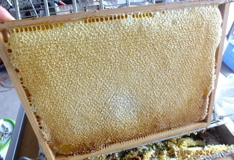 ペンション Agroturystyka Wielkie Leźno