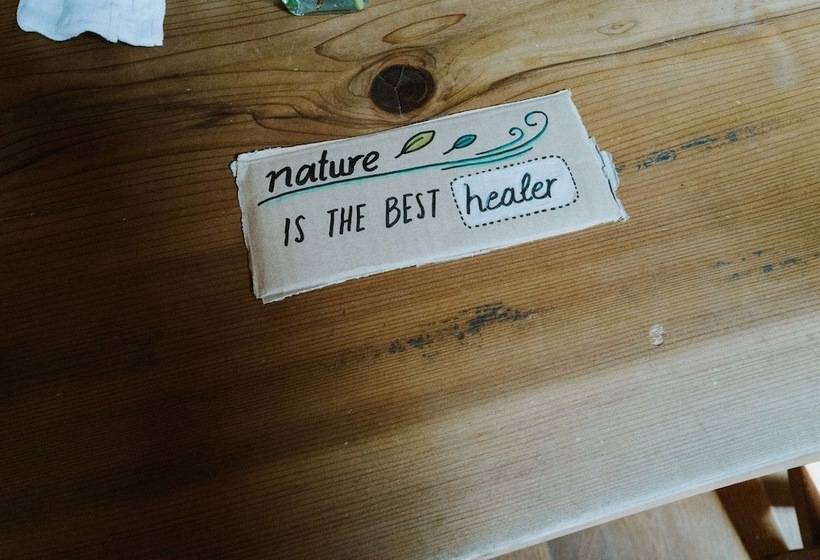 Пансион Dana Village